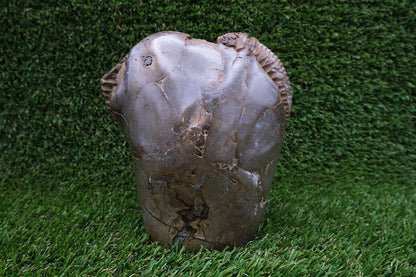 Amonit v Septárii - menhir